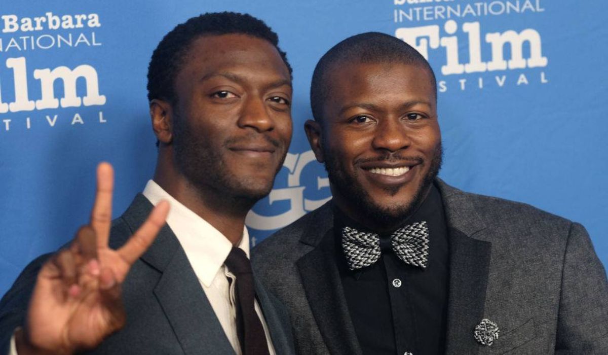 Who Is Aldis Hodge?