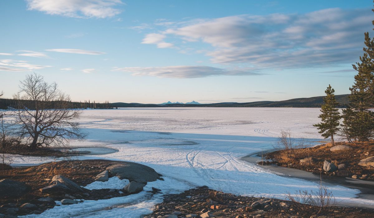 Where Can You Find Frozen Tundras?