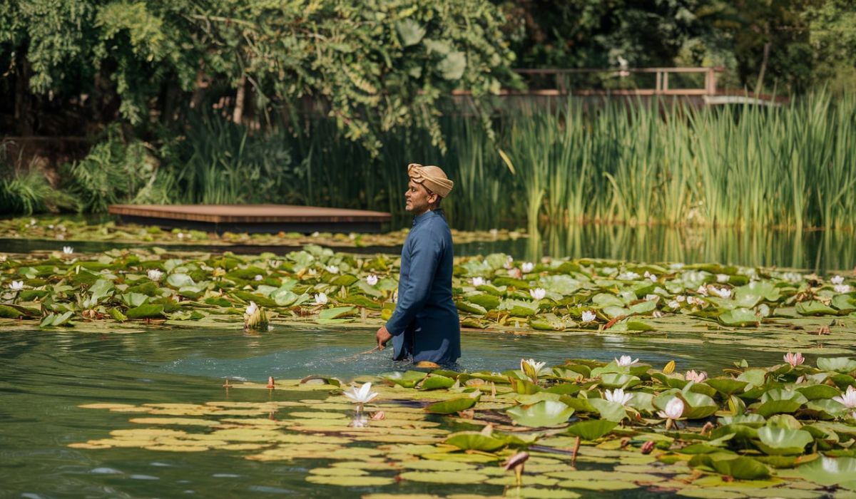 Cultural Variations of Gardan Zani