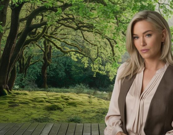 Megyn Price: A Journey Through Hollywood and Beyond