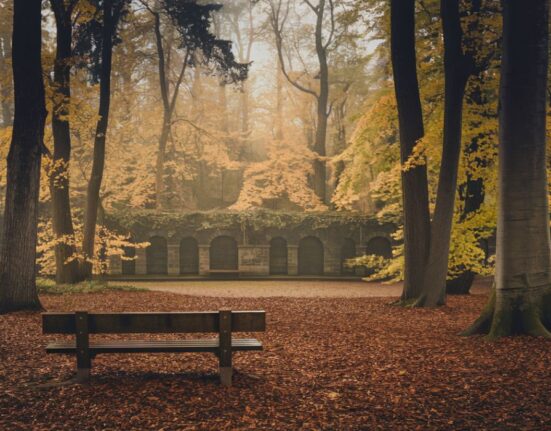 El Silencio: The Power of Silence in Our Lives