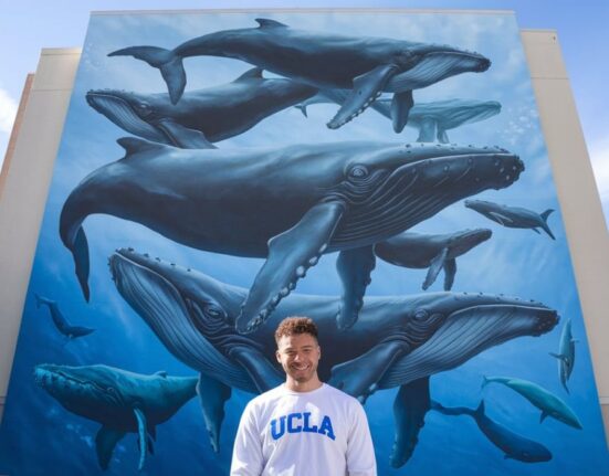 Dmitri Williams UCLA Social Whales